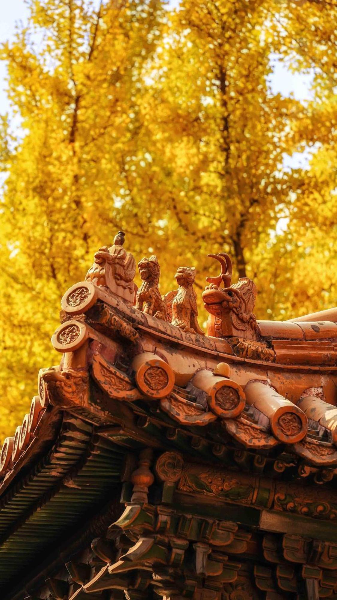 East Sacred Hotel--Very Near Beijing Tiananmen Square ,The Forbidden City,The Temple Of Heaven ,3 Minutes' Walk To Wangfujing Subway ,Located In The Center Of Beijing, Many Shopping Malls Around,Newly Renovated Hotel-Able To Receive Foreign Guests المظهر الخارجي الصورة The roof of the temple